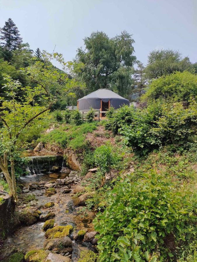 La Yourte Des Bibis Fréland Exterior foto